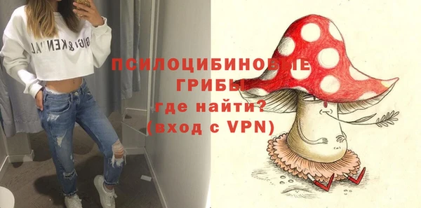 индика Армянск