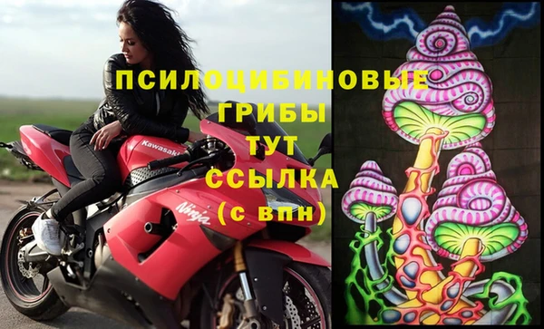 индика Армянск