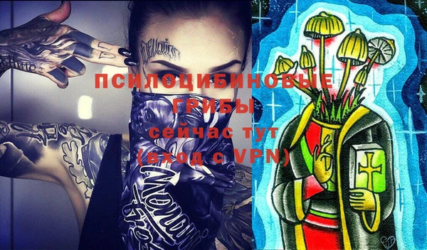 винт Арсеньев