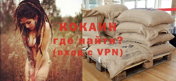 индика Армянск