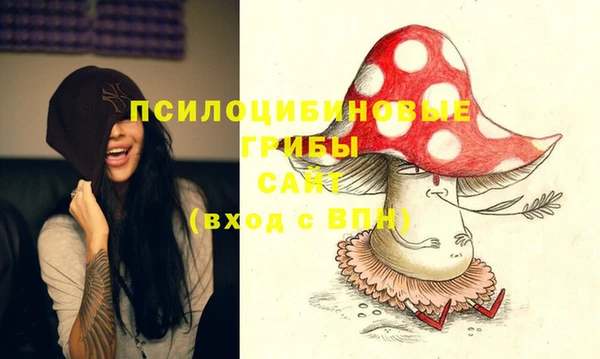 винт Арсеньев